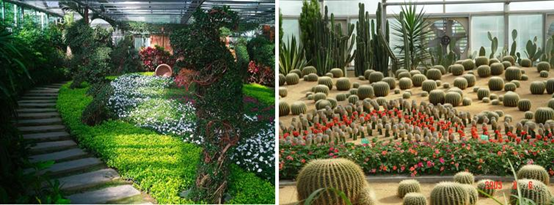 437437必赢国际三八游世界花卉大观园纪实